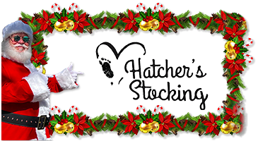 Hatcher's Stocking Banner