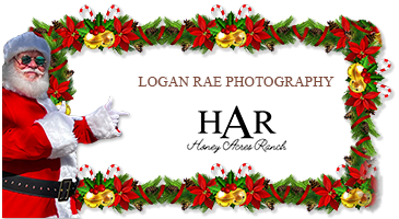 Christmas Minis With Santa - Honey Acres Ranch