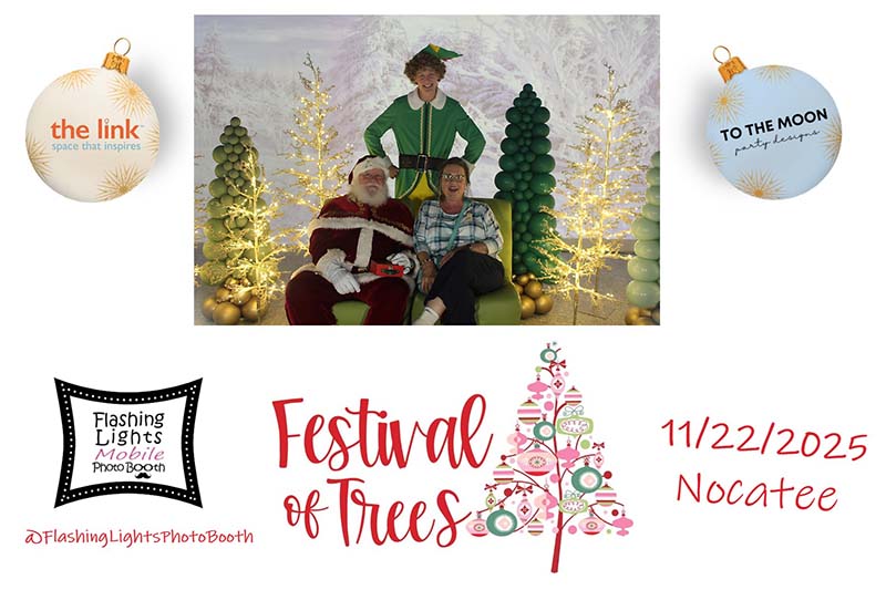 the link Festival of Trees in Nocatee with Buddy